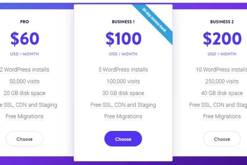 Kinsta Business 1