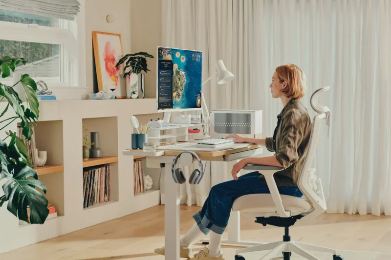 Branch Ergonomic Chair