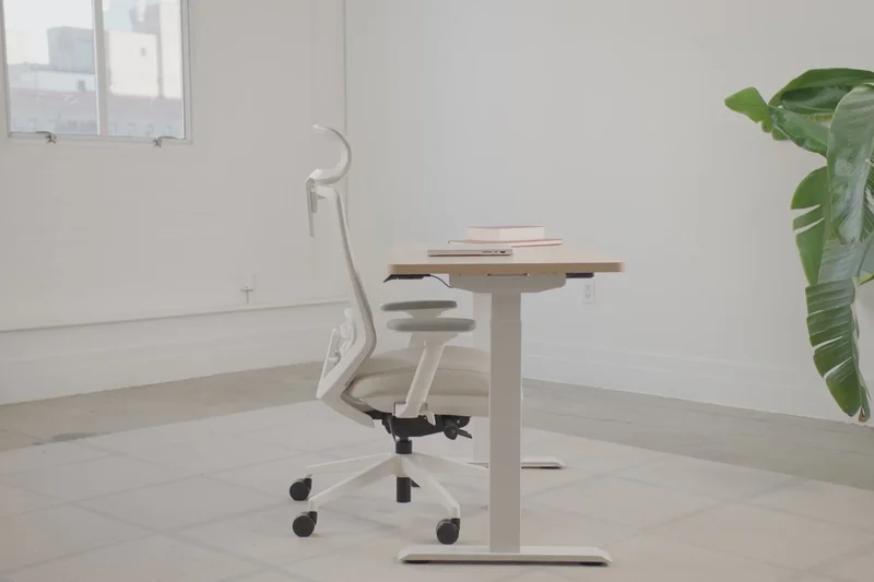 Branch Ergonomic Chair