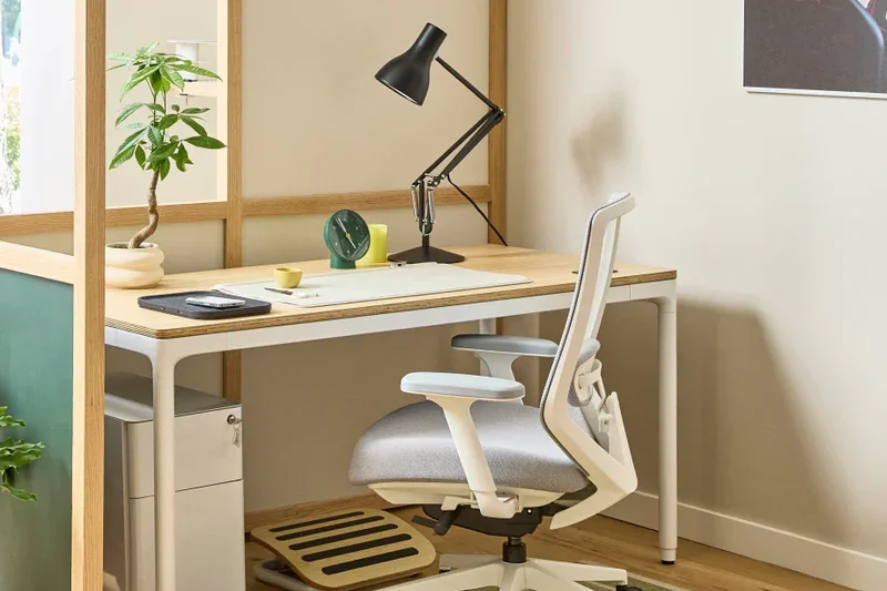 Branch Ergonomic Chair Pro