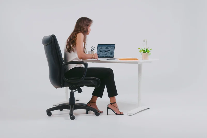 Duramont Ergonomic Office Chair