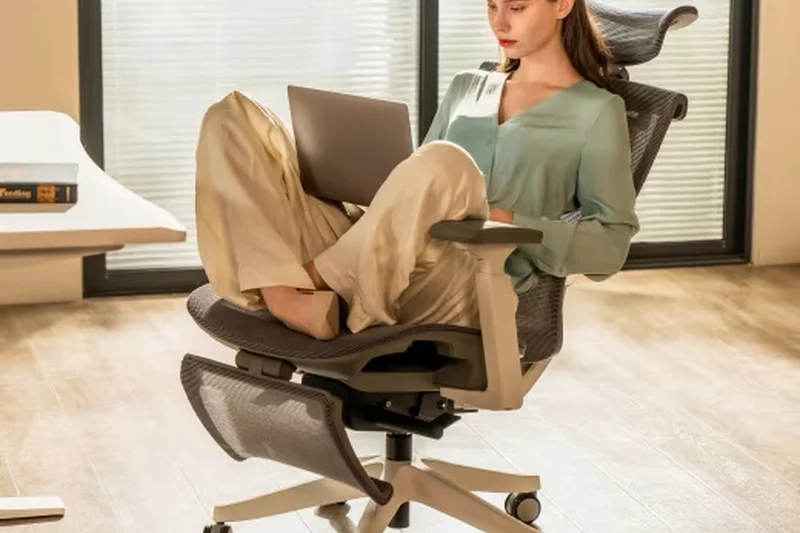 FlexiSpot Premium Ergonomic Chair (C7)