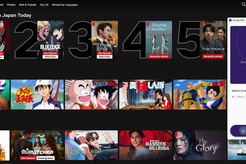 Mozilla VPN (年度套餐)