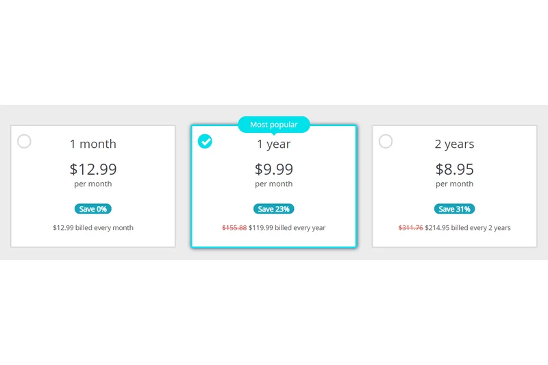 Perfect Privacy VPN (2年套餐)
