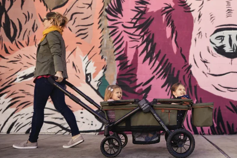 Pivot Xplore 全地形推车旅行车