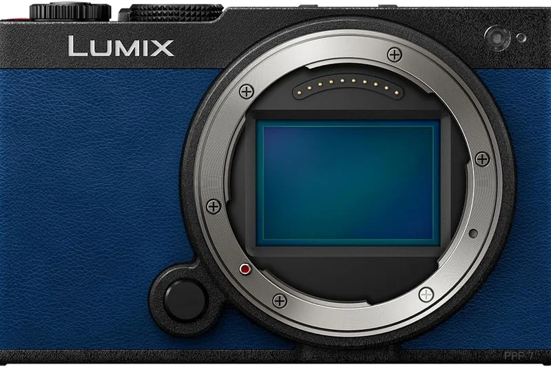 Panasonic Lumix S9