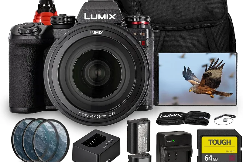 Panasonic Lumix S1 II