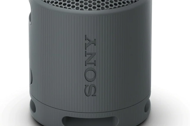 Sony SRS-XB100