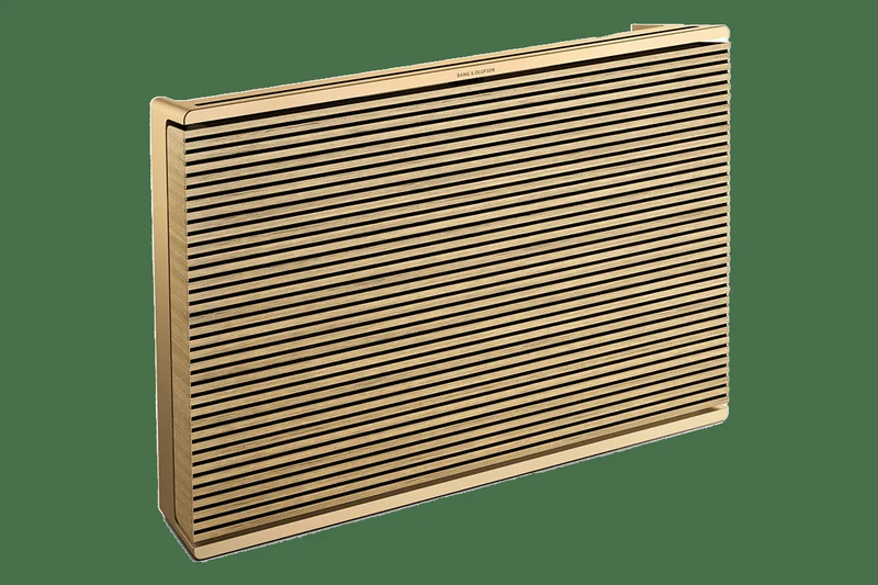 Bang &amp; Olufsen Beosound Level