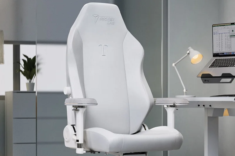 Secretlab Titan Evo (小号)