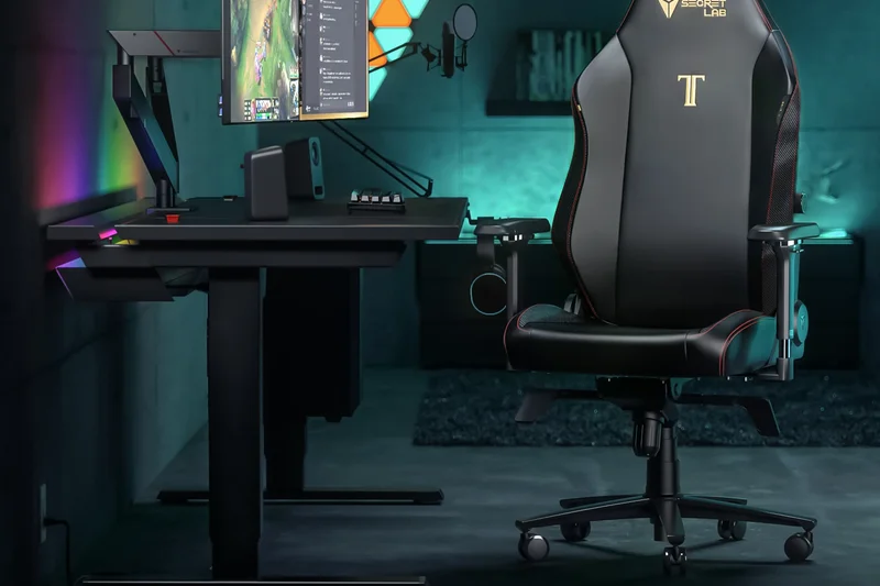 Secretlab Titan Evo (小号)