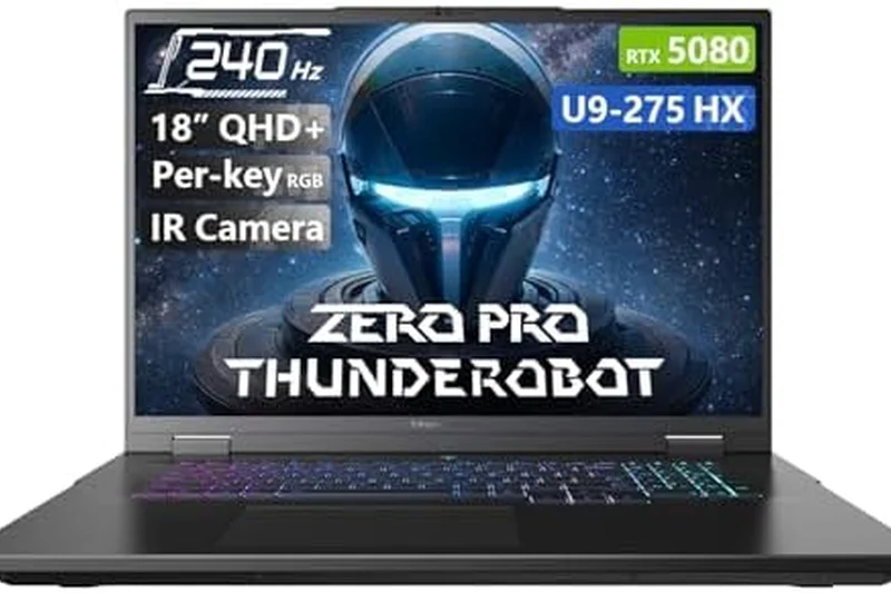 Medion Erazer Deputy P15