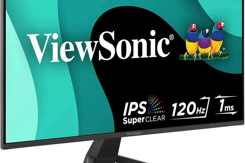 ViewSonic OMNI VX2418-P-MHD