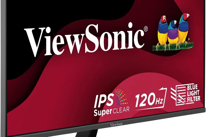 ViewSonic OMNI VX2418-P-MHD