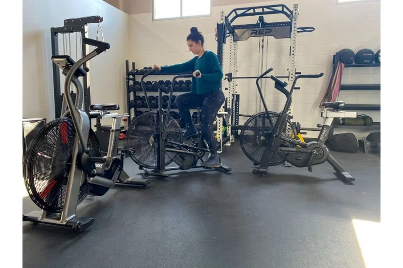 Assault Fitness AssaultBike Classic