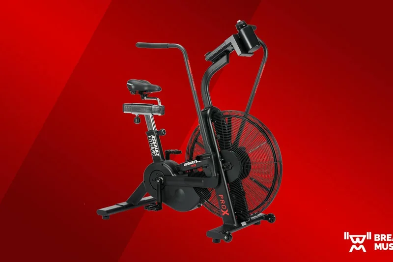 AssaultBike Pro X