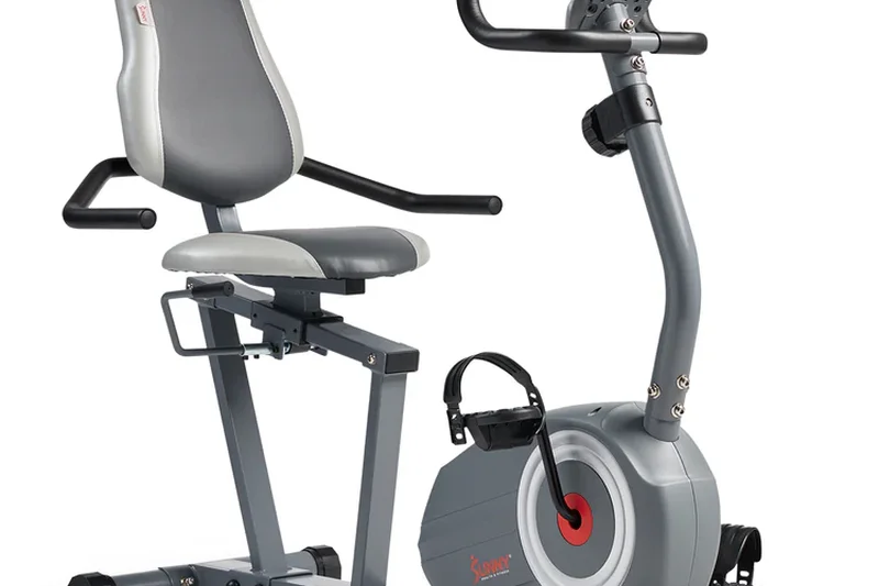 Sunny Health &amp; Fitness Essential Recumbent Exercise Bike