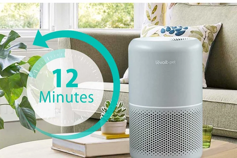 Levoit Core P350 Pet Care