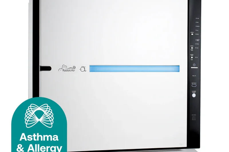 RabbitAir MinusA2 (SPA-780N)