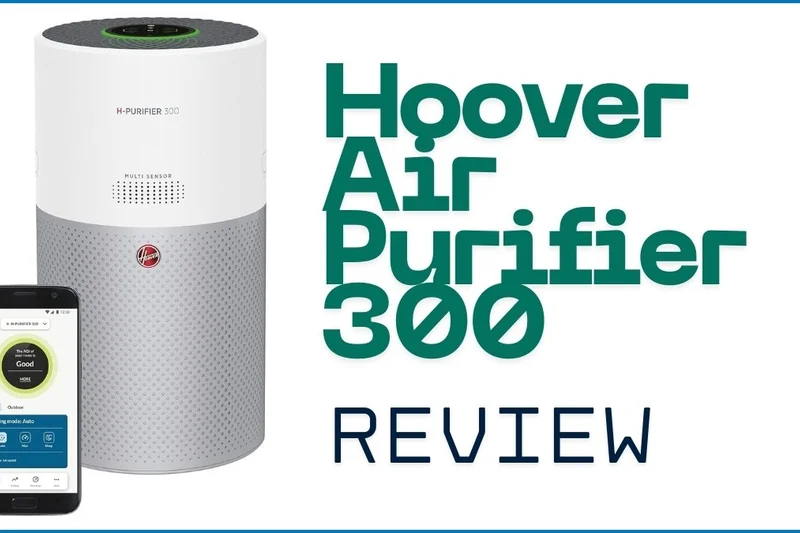 Hoover H-Purifier 300 HHP30C