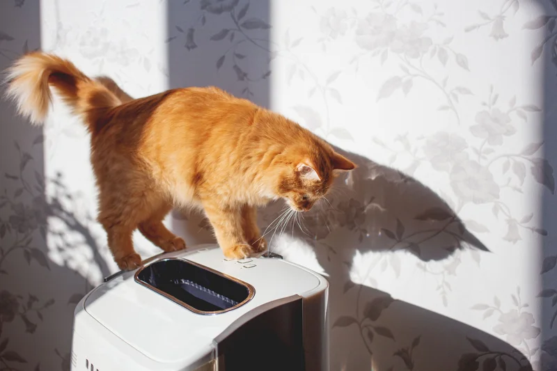 MORENTO HY4866 紧凑型空气净化器