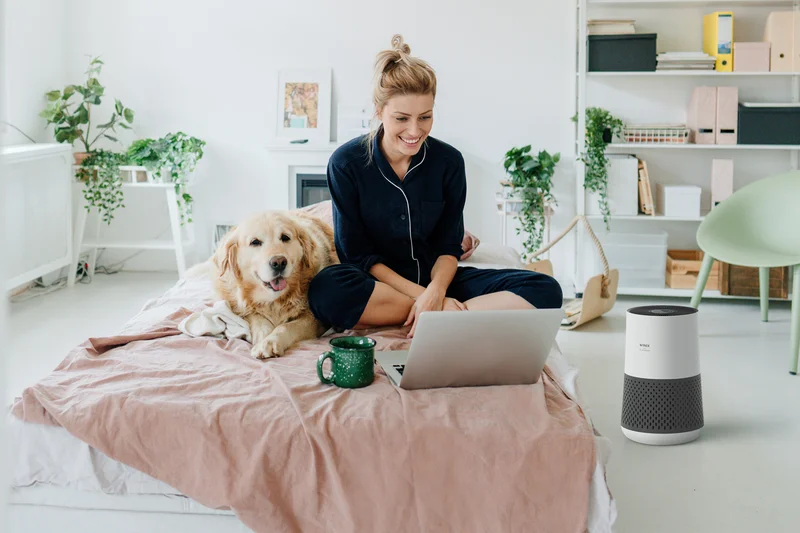 Winix A231 4级True HEPA空气净化器