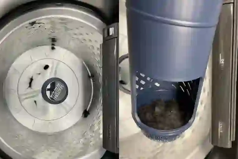 Maytag MVW6500MBK 4.7 cu. ft. Pet Pro 波轮式洗衣机