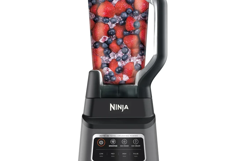 Ninja Professional Plus Blender with Auto-iQ BN701