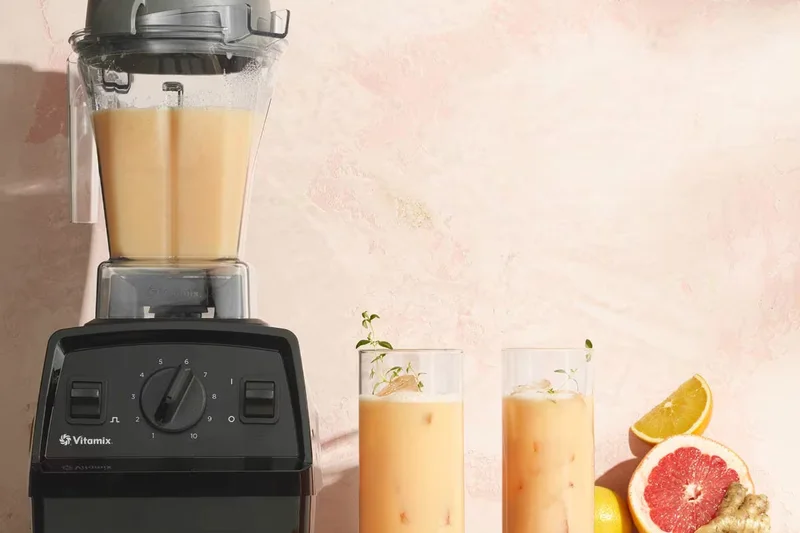 Vitamix Explorian E310