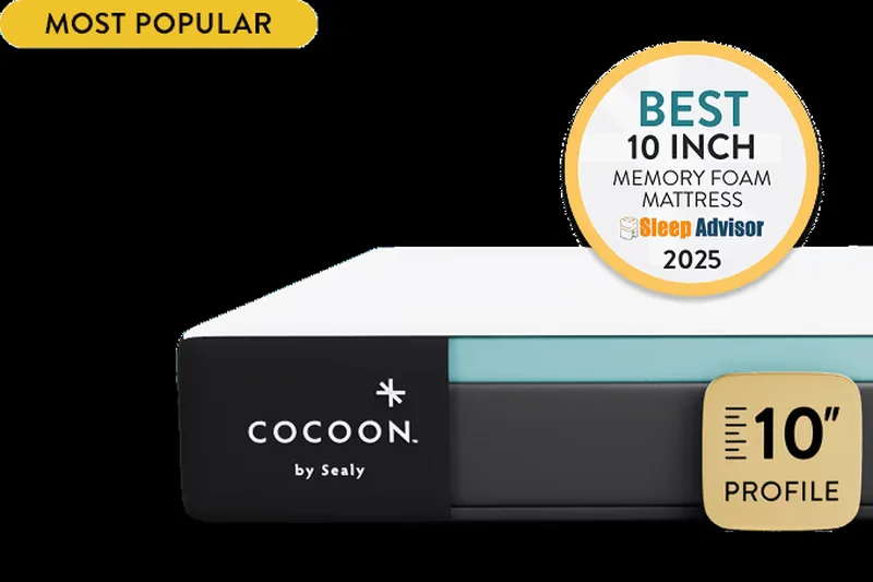 Cocoon by Sealy Chill Memory Foam