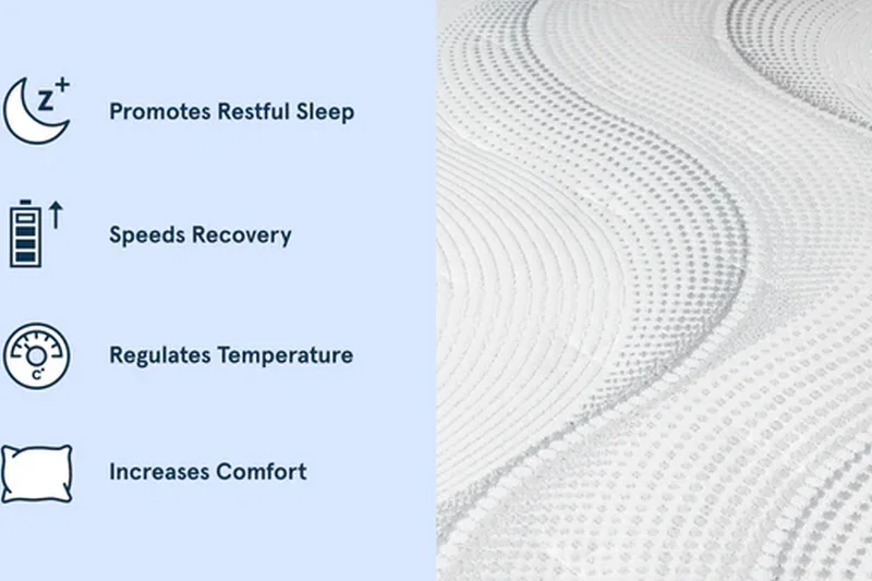 Bear Original 床垫