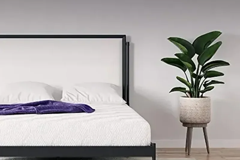 Signature Sleep Memoir 8英寸 炭记忆棉床垫