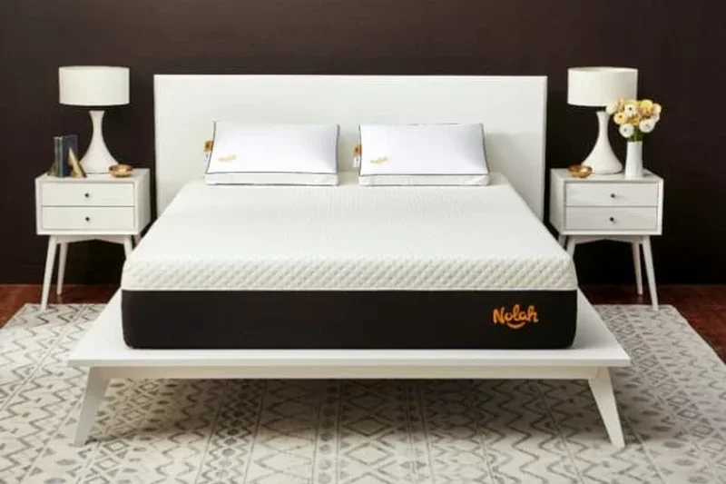 Nolah Signature 12英寸