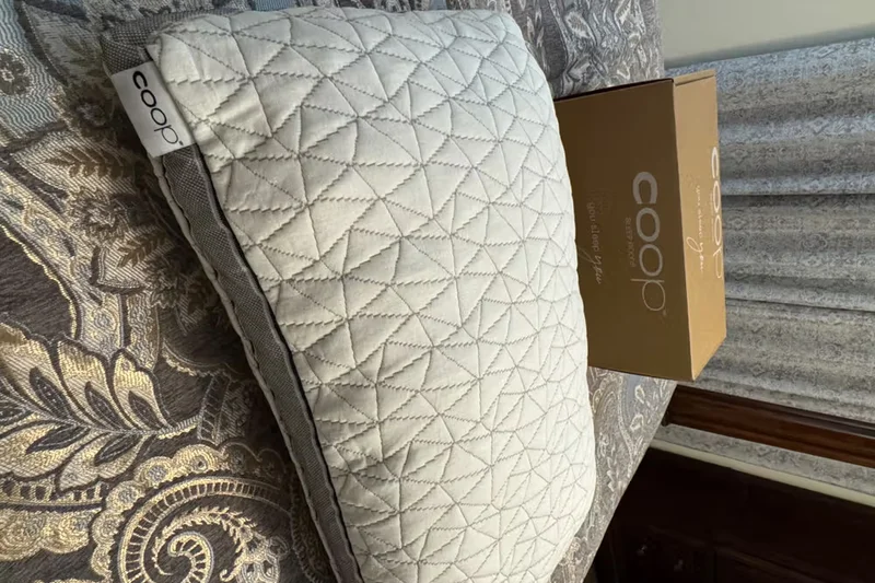 Coop Sleep Goods Eden Pillow