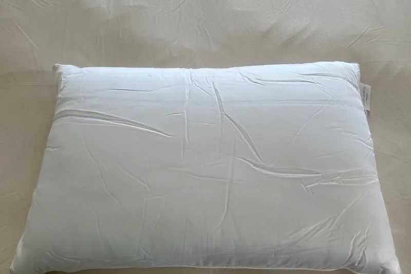 Cozy Earth Silk Pillow