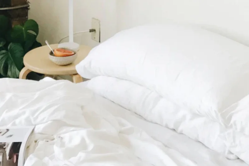 Cozy Earth Silk Pillow