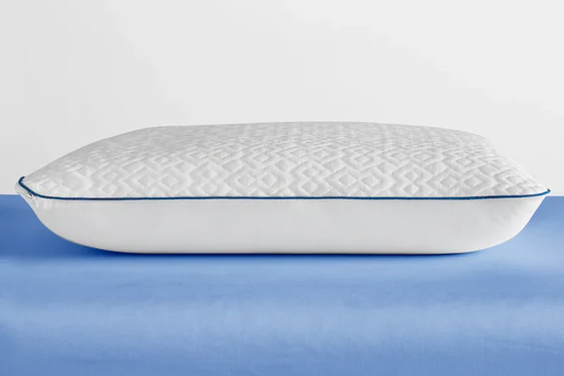 Sleep Innovations Forever Cool Gel Memory Foam Pillow