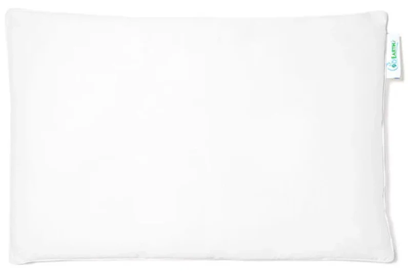 Cozy Earth 真丝枕