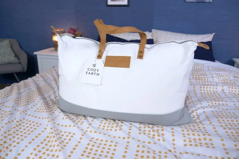 Cozy Earth 真丝枕