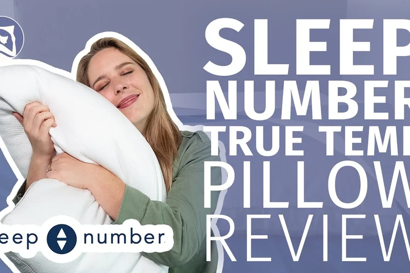 Sleep Number True Temp 轮廓枕