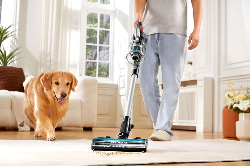 Eureka RapidClean Pro