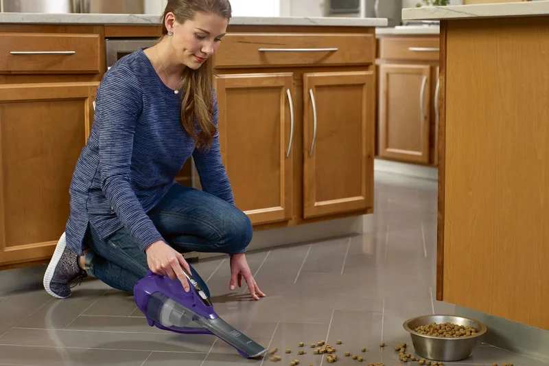 Black+Decker Furbuster