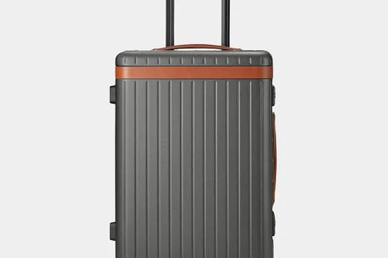 Carl Friedrik The Carry-on