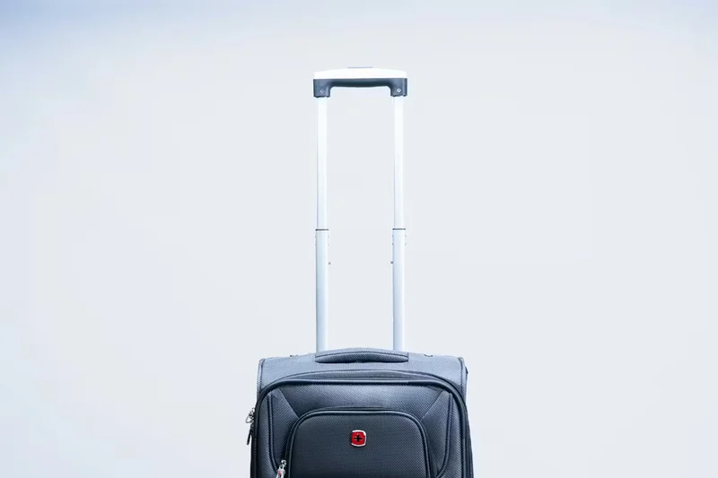 SwissGear Sion 21英寸软壳可扩展行李箱