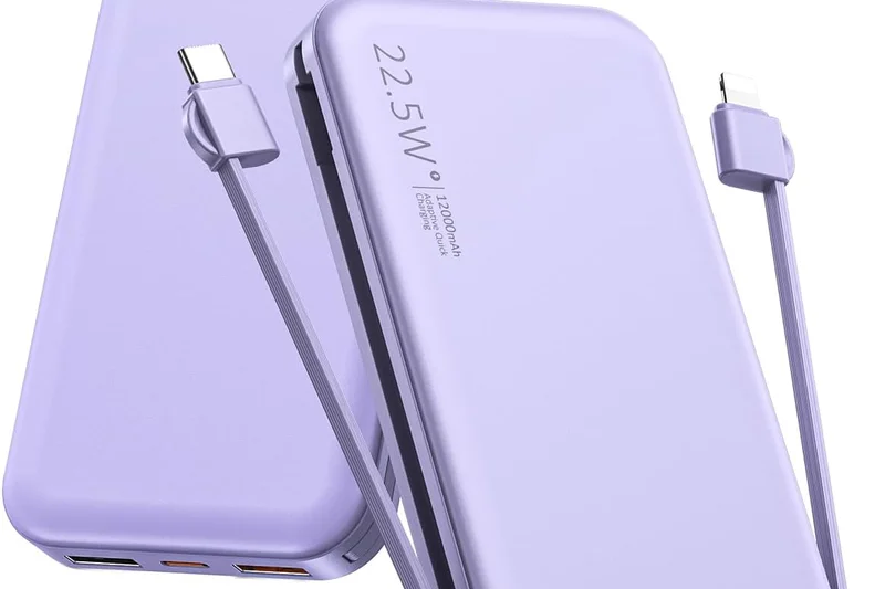 INIU Multi P21 30W Power Bank