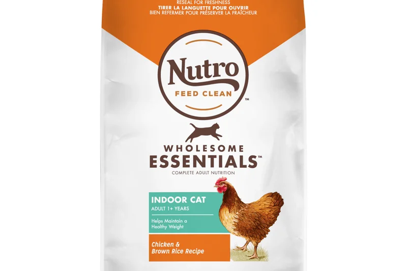 Nutro Wholesome Essentials