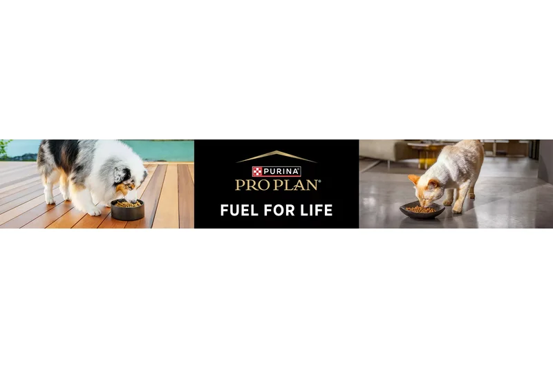 Purina Pro Plan Adult