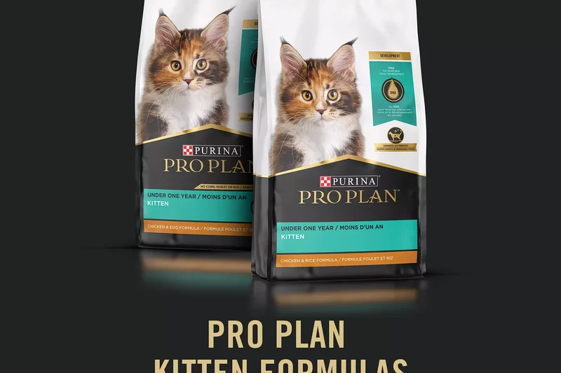 Purina Pro Plan Kitten