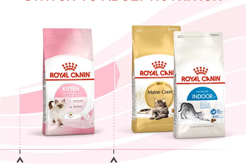 Royal Canin Kitten