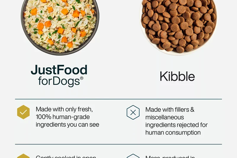 JustFoodForDogs Fresh Frozen Chicken &amp; White Rice